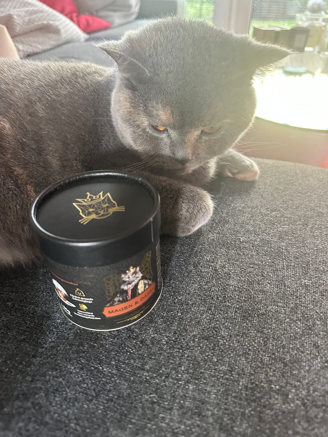 Customer photo review of Magen & Darm Gummies