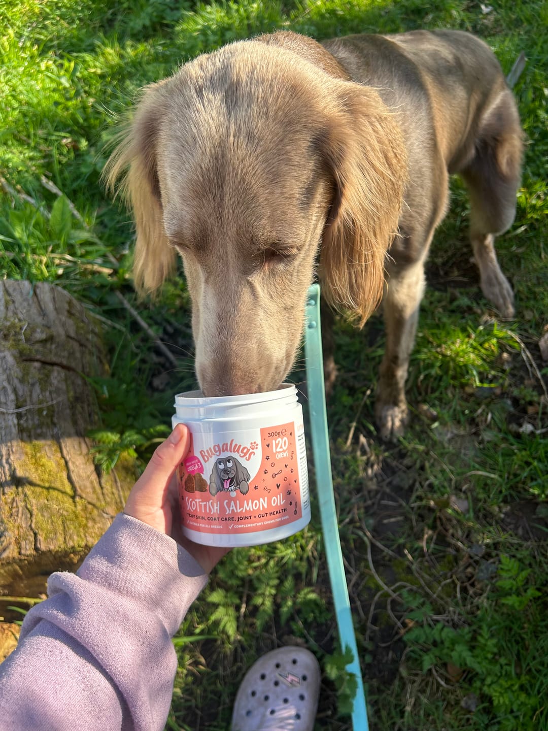 Customer photo review of Scottish Salmon Oil Supplement Chews for Dogs