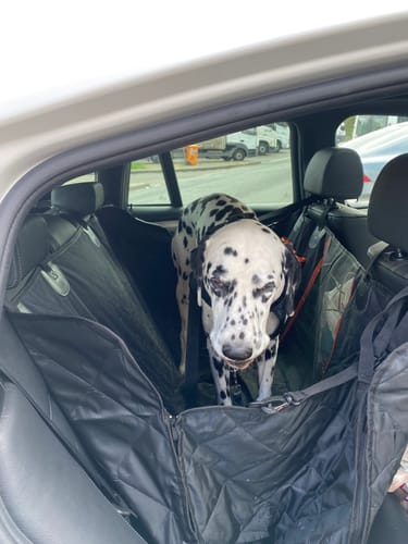 Customer photo review of Bilsätesskydd