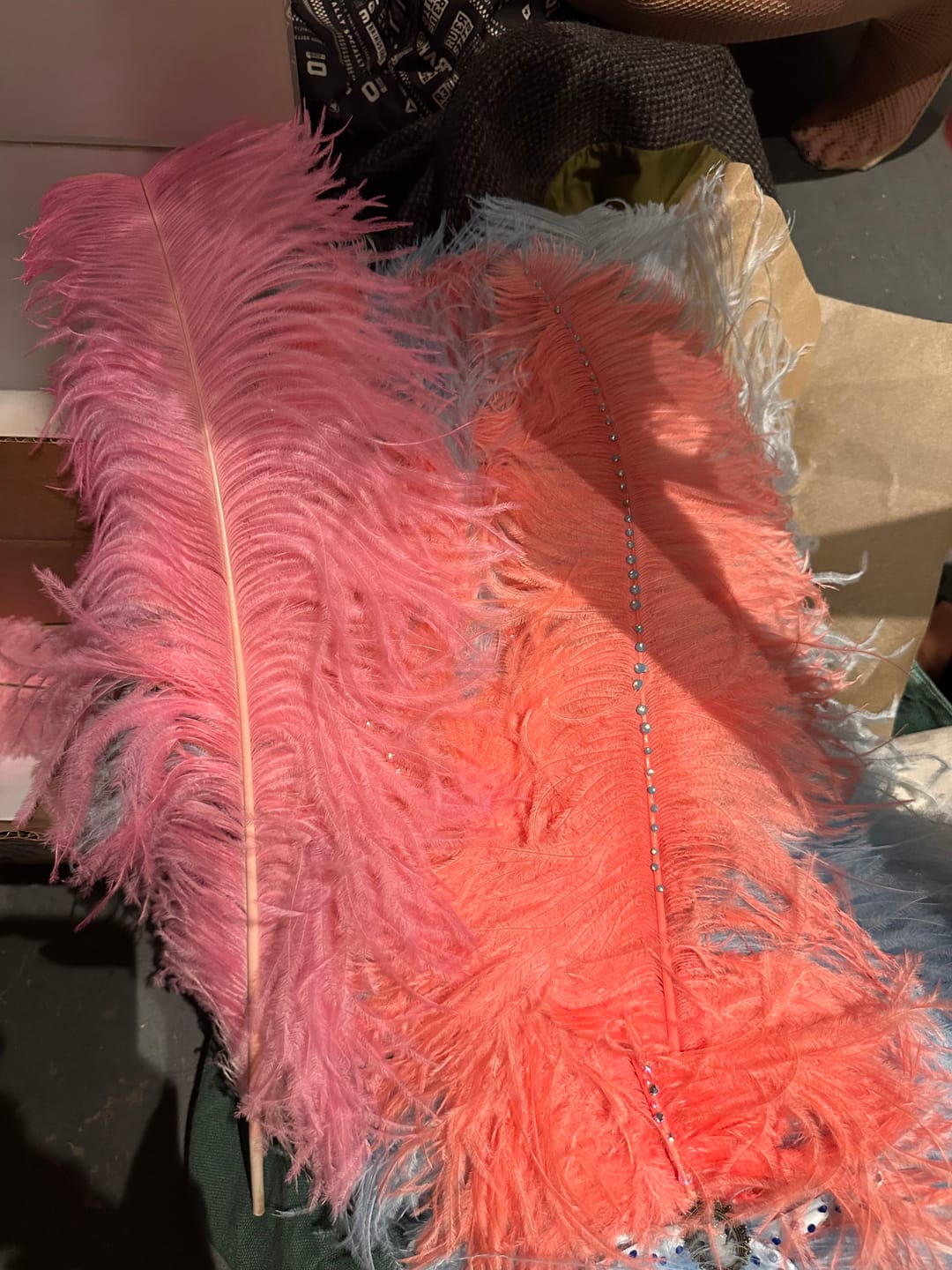 Customer photo review of Ostrich Plume Feathers | Ostrich Plumes