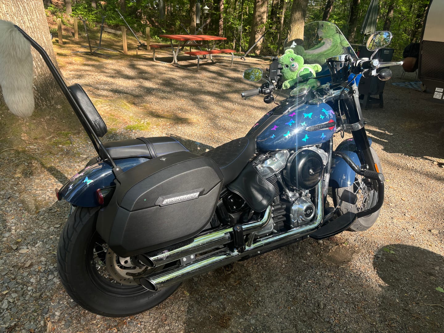 Customer photo review of 32L - Darkin Large Quick Mount Leather Wrapped Hard Saddlebags for Harley Softail Slim FLSL