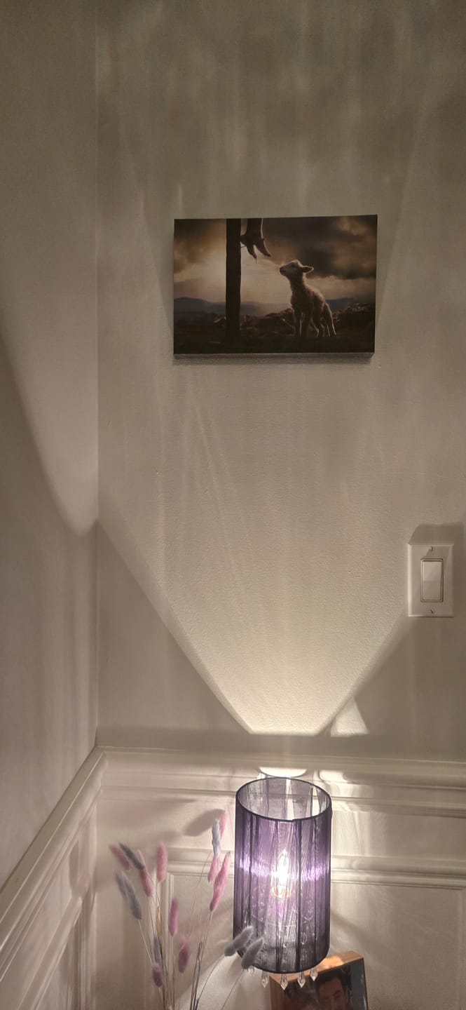 Customer photo review of Lamb Looking Up at Feet of Jesus Wall Art Canvas