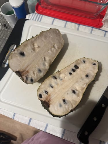 Customer photo review of Soursop ***PRE ORDER**