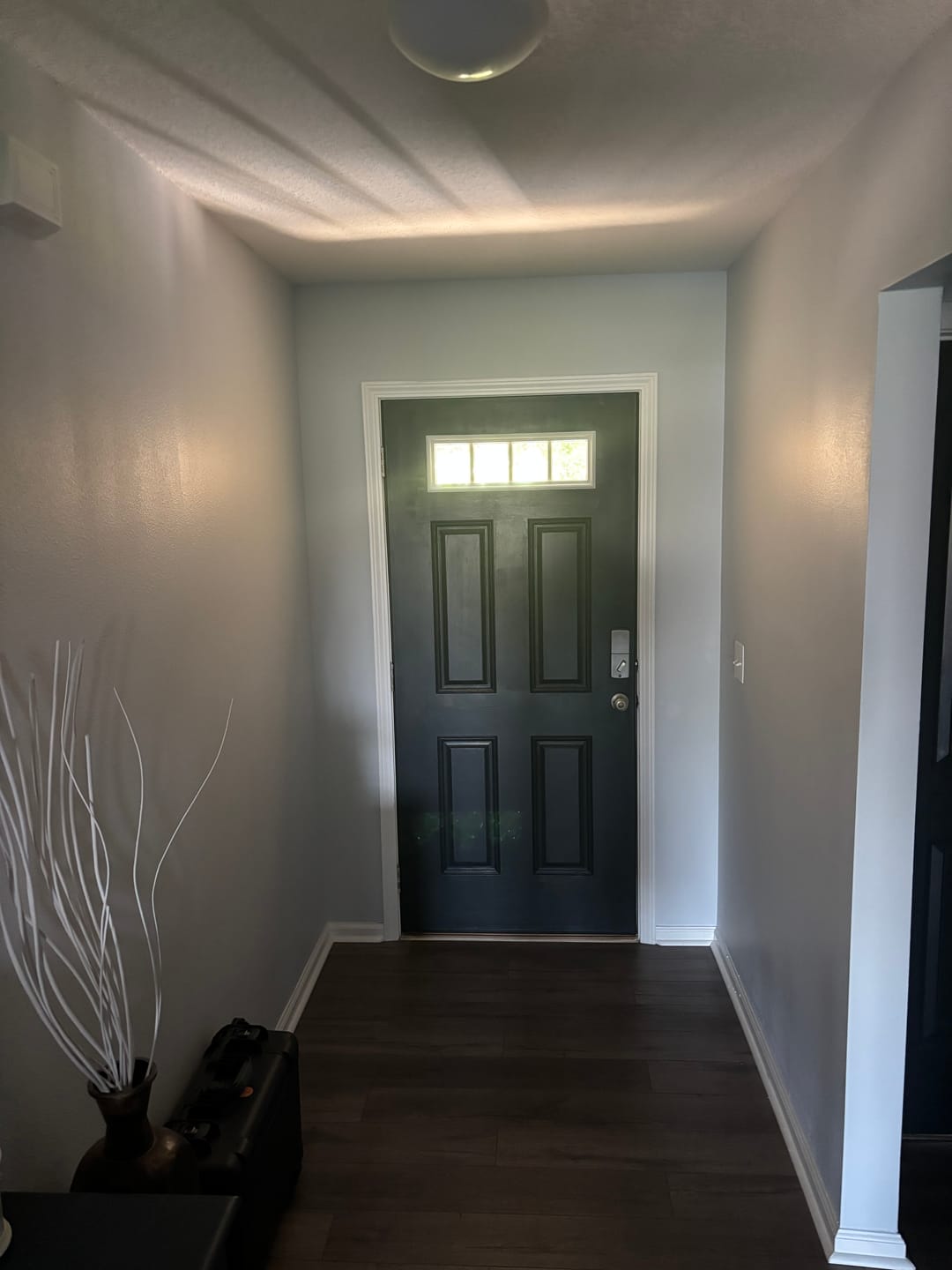 Customer photo review of Clear 4 Lite Glass and Frame Kit (24" x 8" Frame Size)