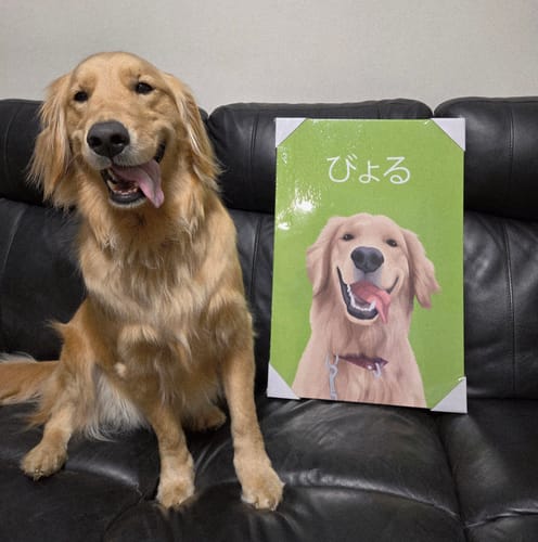 Customer photo review of Petcanva©オーダーメイド ペット似顔絵