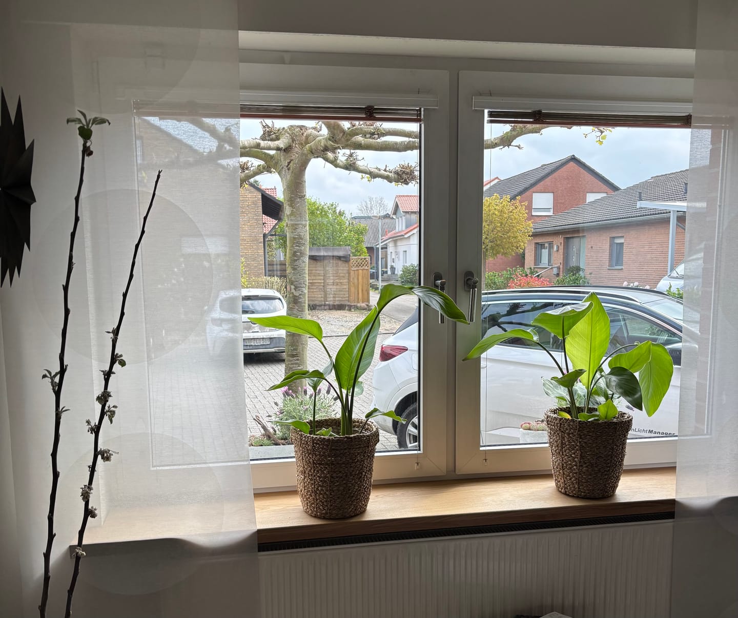 Customer photo review of Fensterbank Eiche