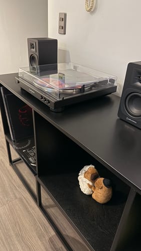 Customer photo review of Mueble para Vinilos Industrial Abedul BLACK