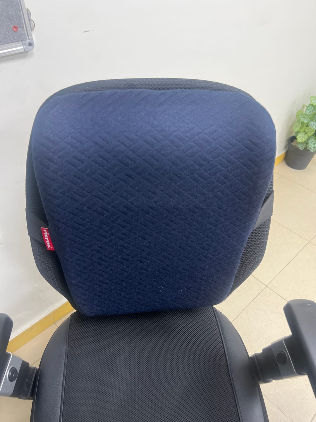 Customer photo review of Ruf- Full back Support Pillow
