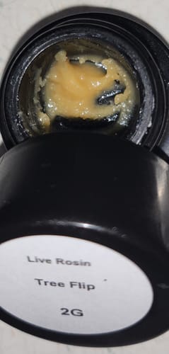 Customer photo review of Tree Flip