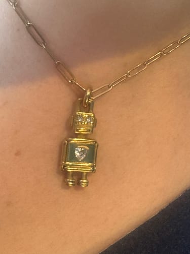 Customer photo review of Discobot Gold
