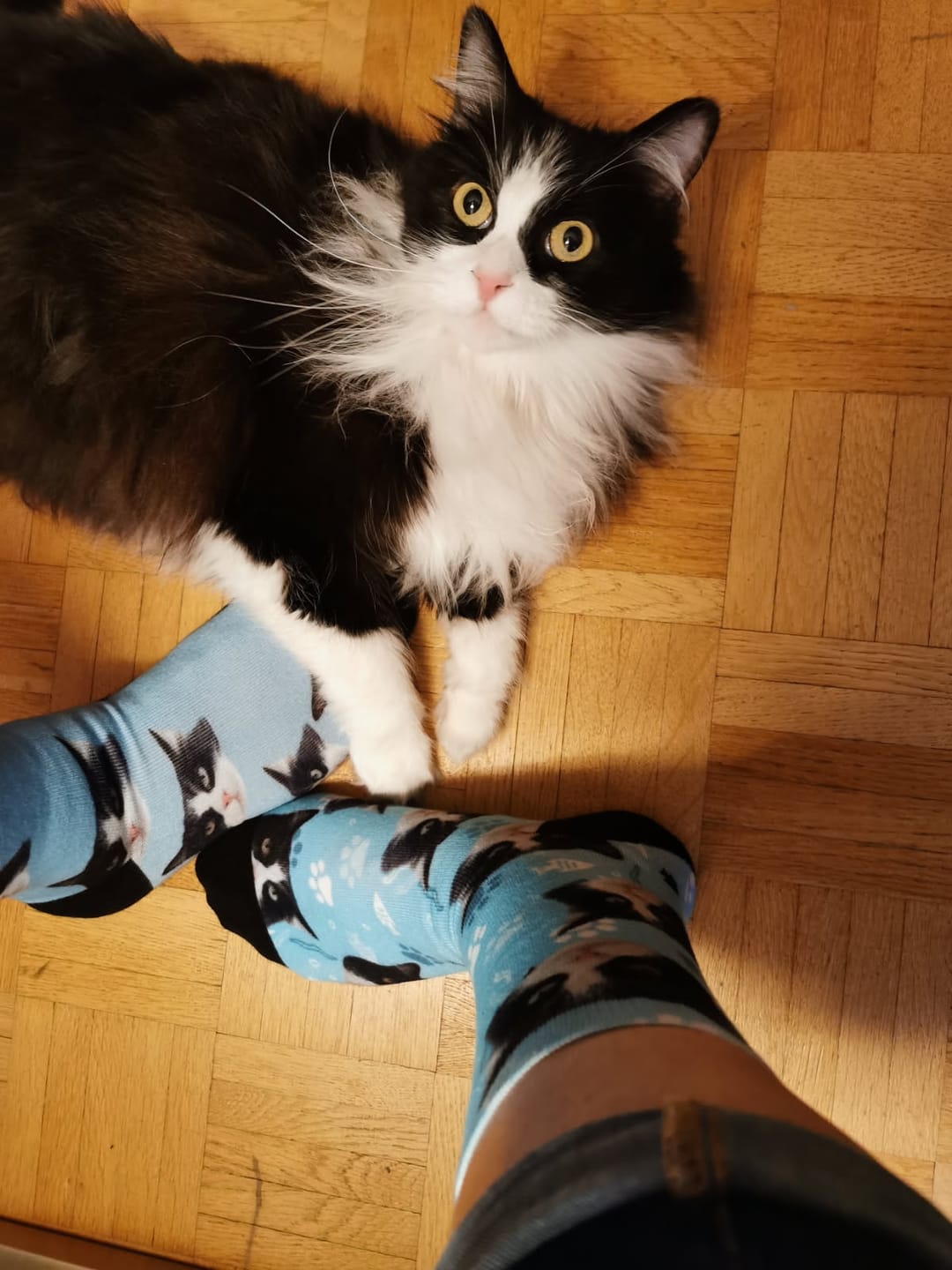 Customer photo review of Votre photo - Chaussettes personnalisées