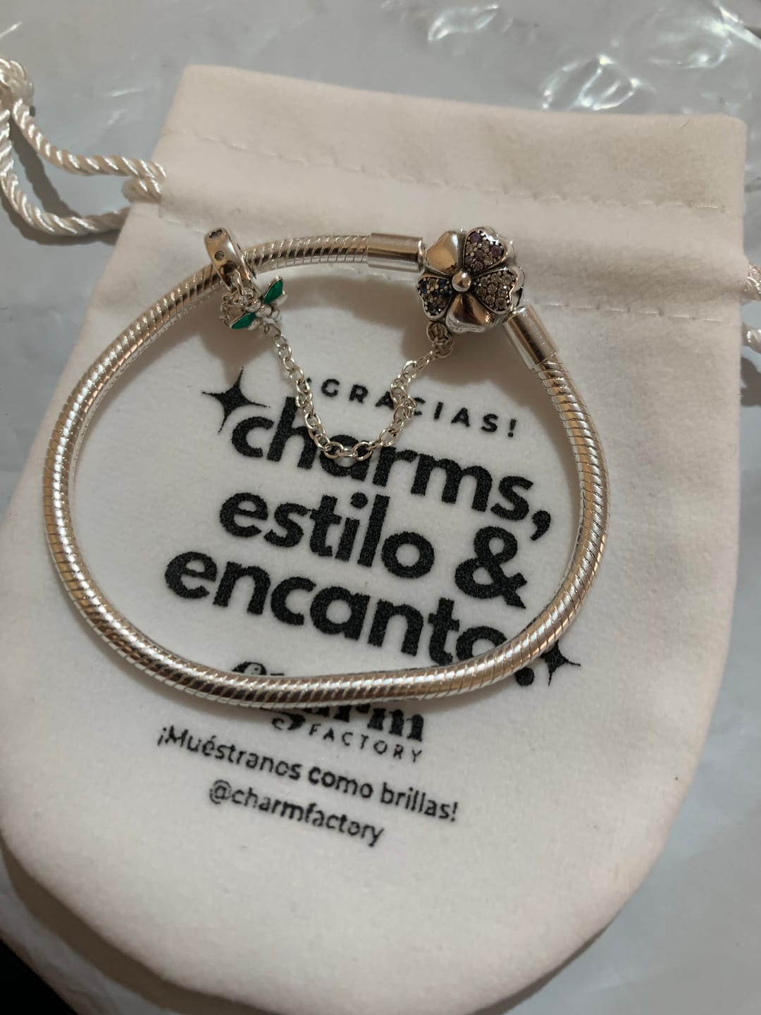 Customer photo review of Pulsera Trébol y Libélula