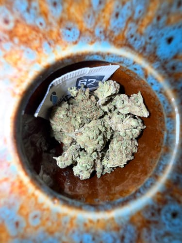 Customer photo review of Lilac Diesel