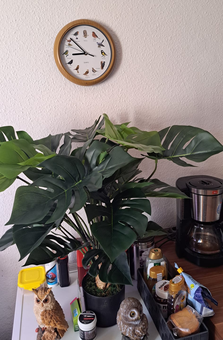 Customer photo review of Monstera Kunstpflanze 65cm