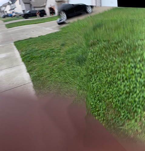 Customer photo review of GCI Turf 30-0-0 G