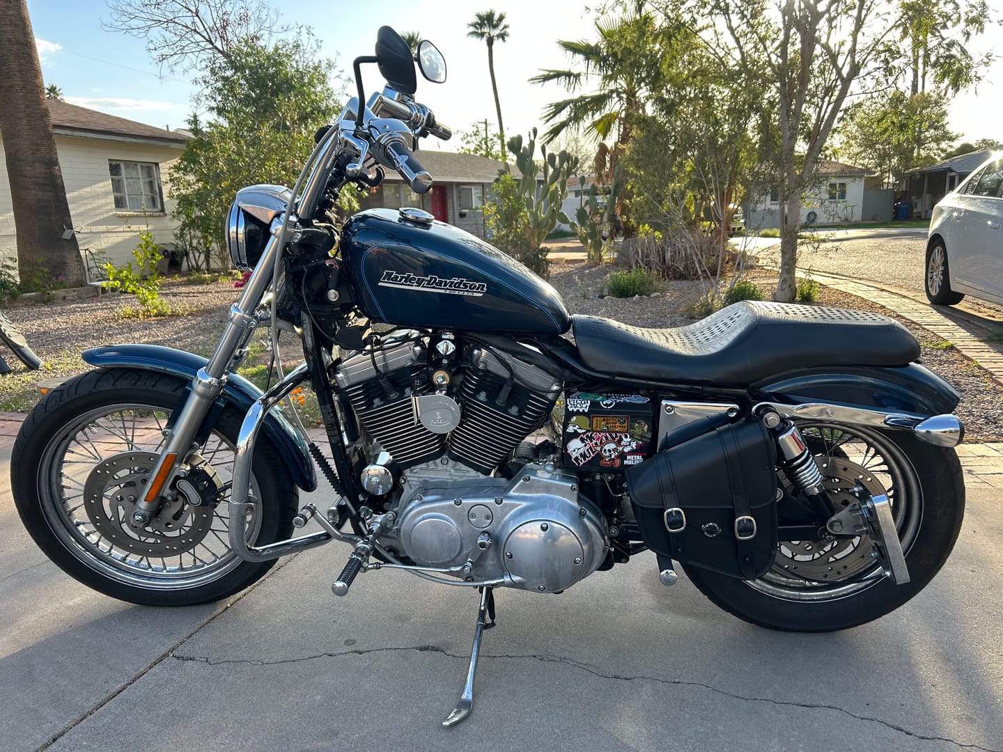 Customer photo review of 3L - Crafted Harley Sportster Specific Motorcycle Swing Arm Bag