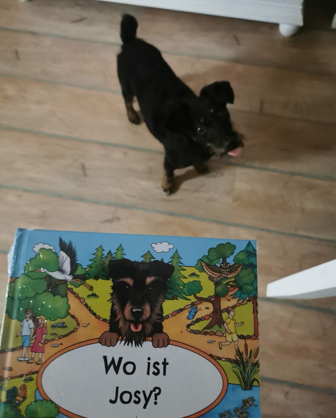 Customer photo review of Wo bist du? - Personalisiertes Hunde-Wimmelbuch