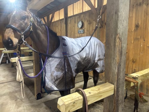 Customer photo review of LE Boxter Turnout Ripstop 50g