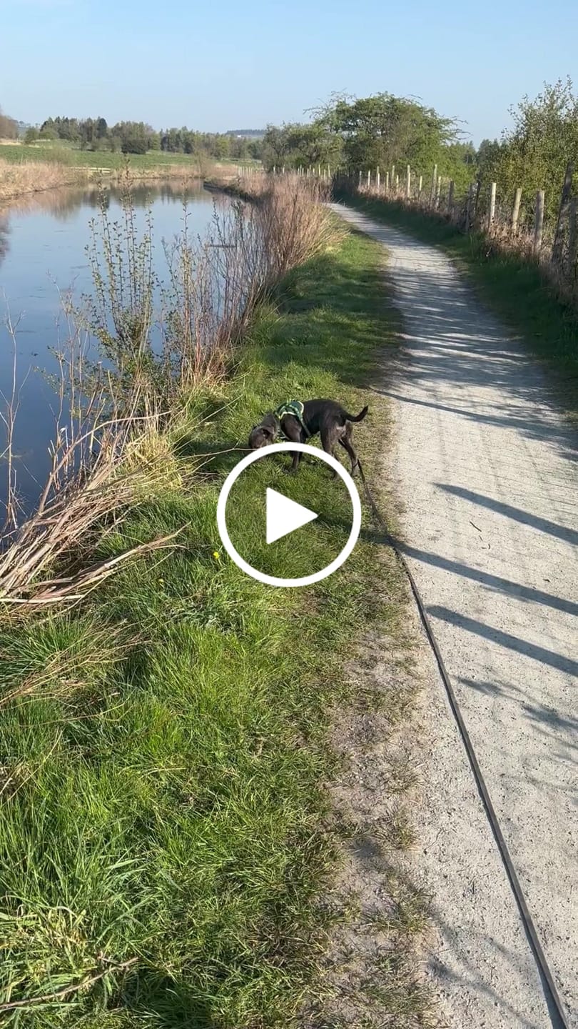 Customer video review of 10m Recall Billowthane® Lead | Waterproof - Matte Black