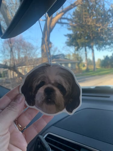 undefined review of Custom Air Freshener image 1 out of 1