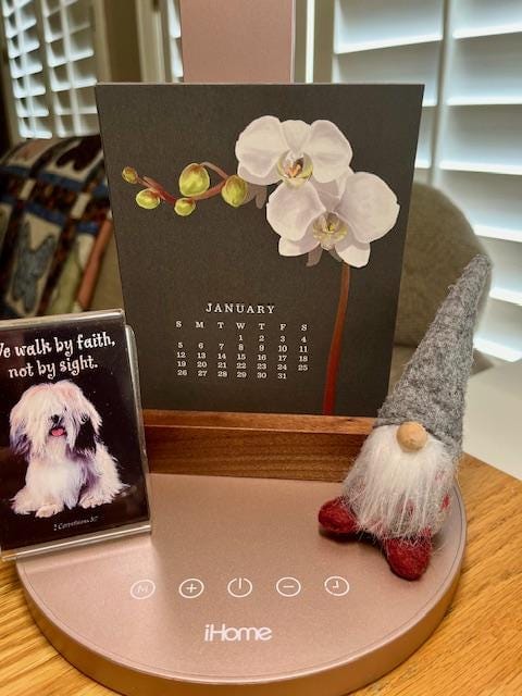 Customer photo review of 2025 Desk Calendar