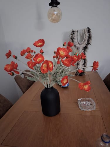 Customer photo review of Fleurs de Poppy - Orange (10 tiges)