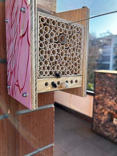 Customer photo review of Vogelschutz BeeSafe