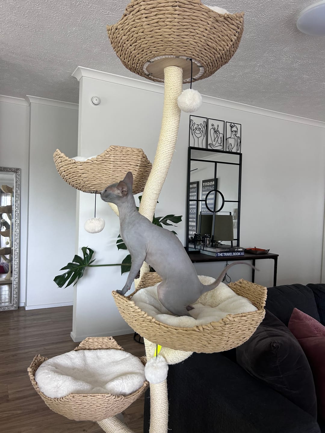 Customer photo review of MICHU Ivy Cat Tower Deluxe 4-Tier Designer Tall Cat Tree