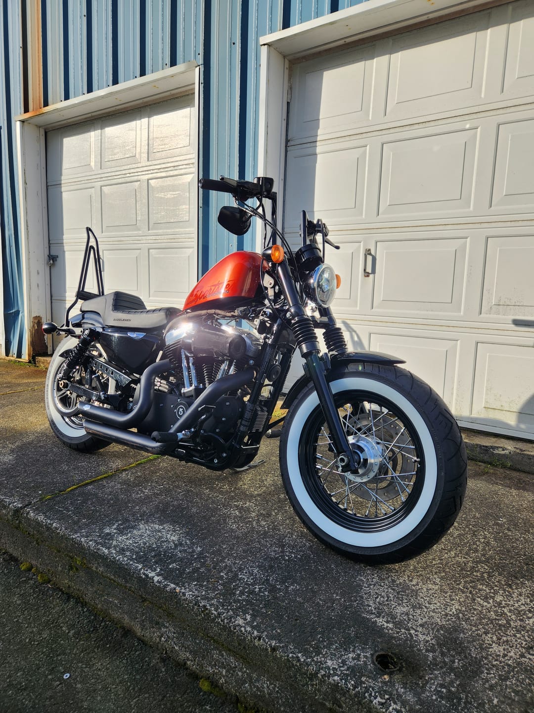 Customer photo review of Iron Born Blade 25" Sissy Bar with Foldable Luggage Rack for Harley Sportster Forty Eight Matte Black
