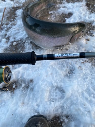 Customer photo review of Custom Float Build