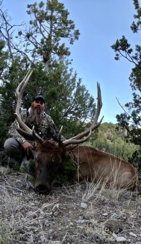 Customer photo review of Beast Broadheads - TRUMP Edition