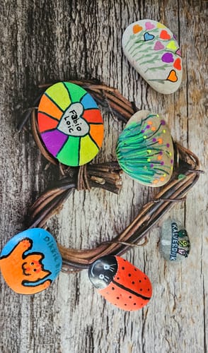 Customer photo review of Starterspakket Happy Stones + App om ze te volgen | Alles-in-1 | Stenen schilderen