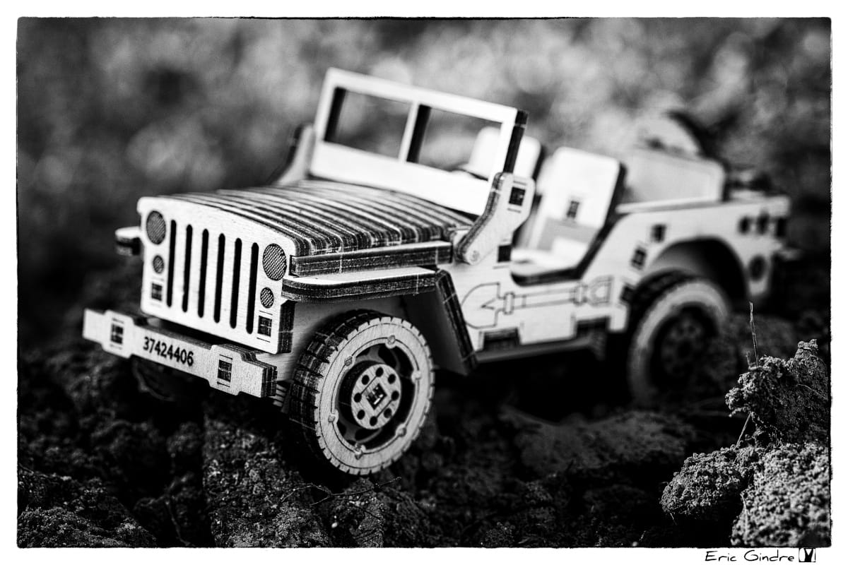 Customer photo review of Military SUV