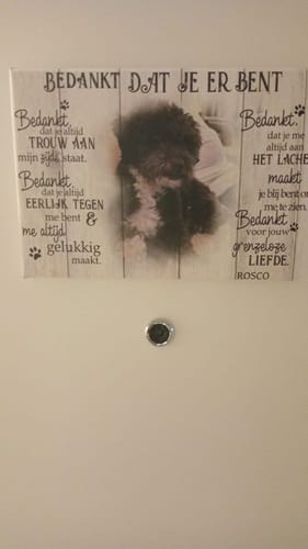 Customer photo review of Bedankt dat je er bent - Gepersonaliseerde canvas