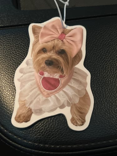 undefined review of Custom Air Freshener image 1 out of 1