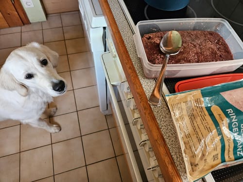 Customer photo review of Frischfutter für Energiebedarf von 1402 kCal/Tag