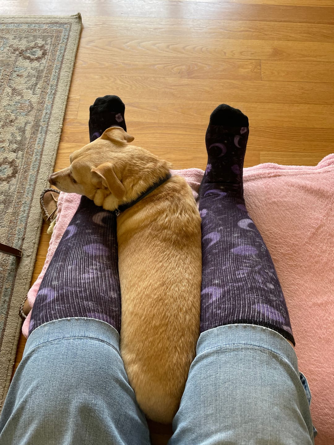 Customer photo review of Purple Moon EasyStretch™ Socks