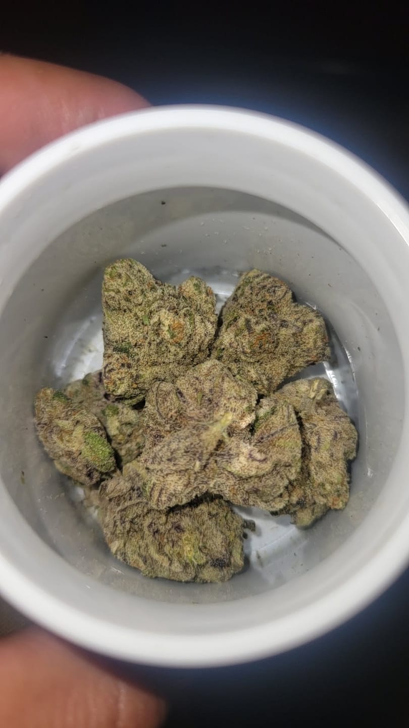 Customer photo review of Gelato 45 - THCa Flower
