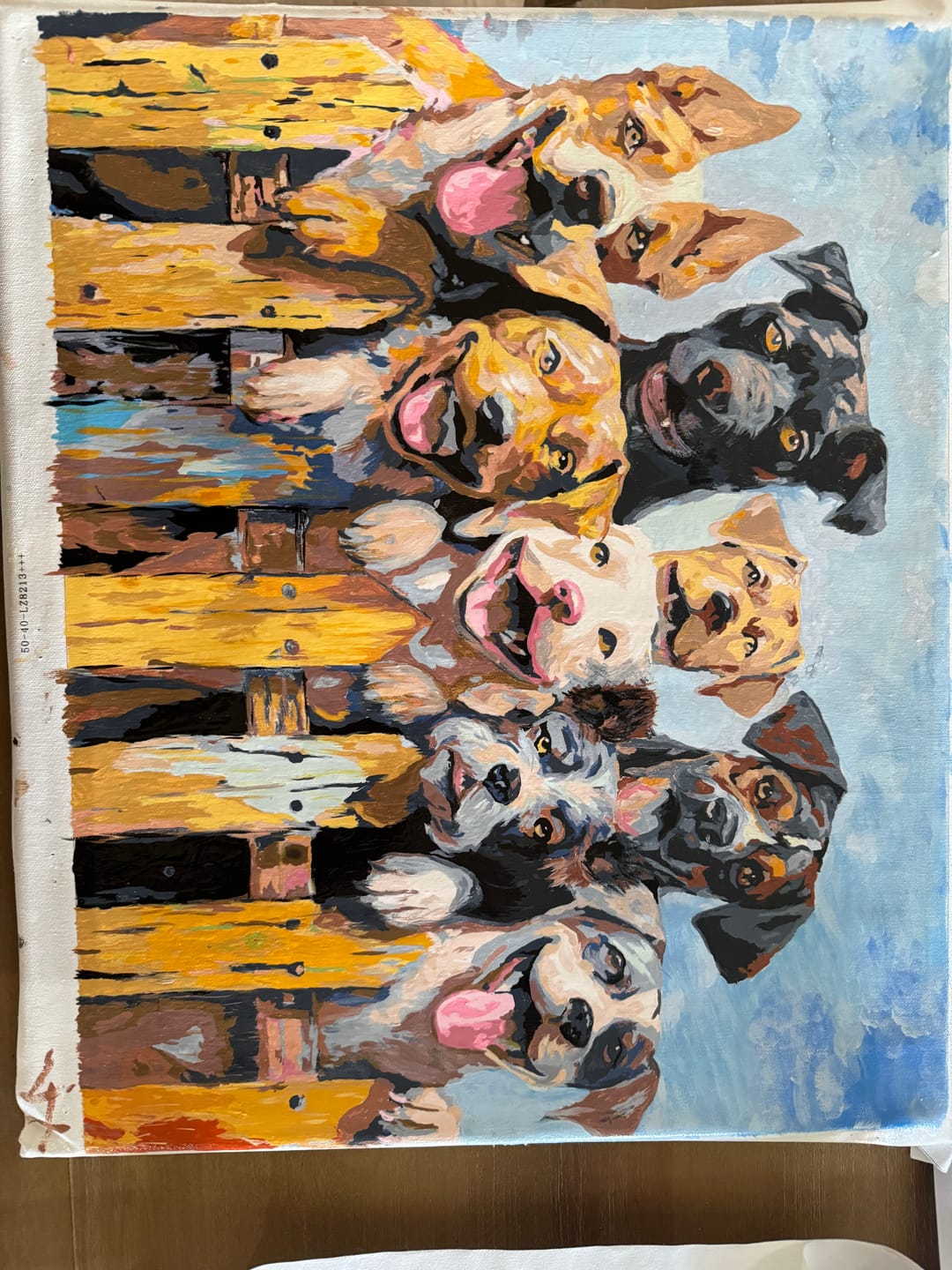 Customer photo review of Dog Days of Summer