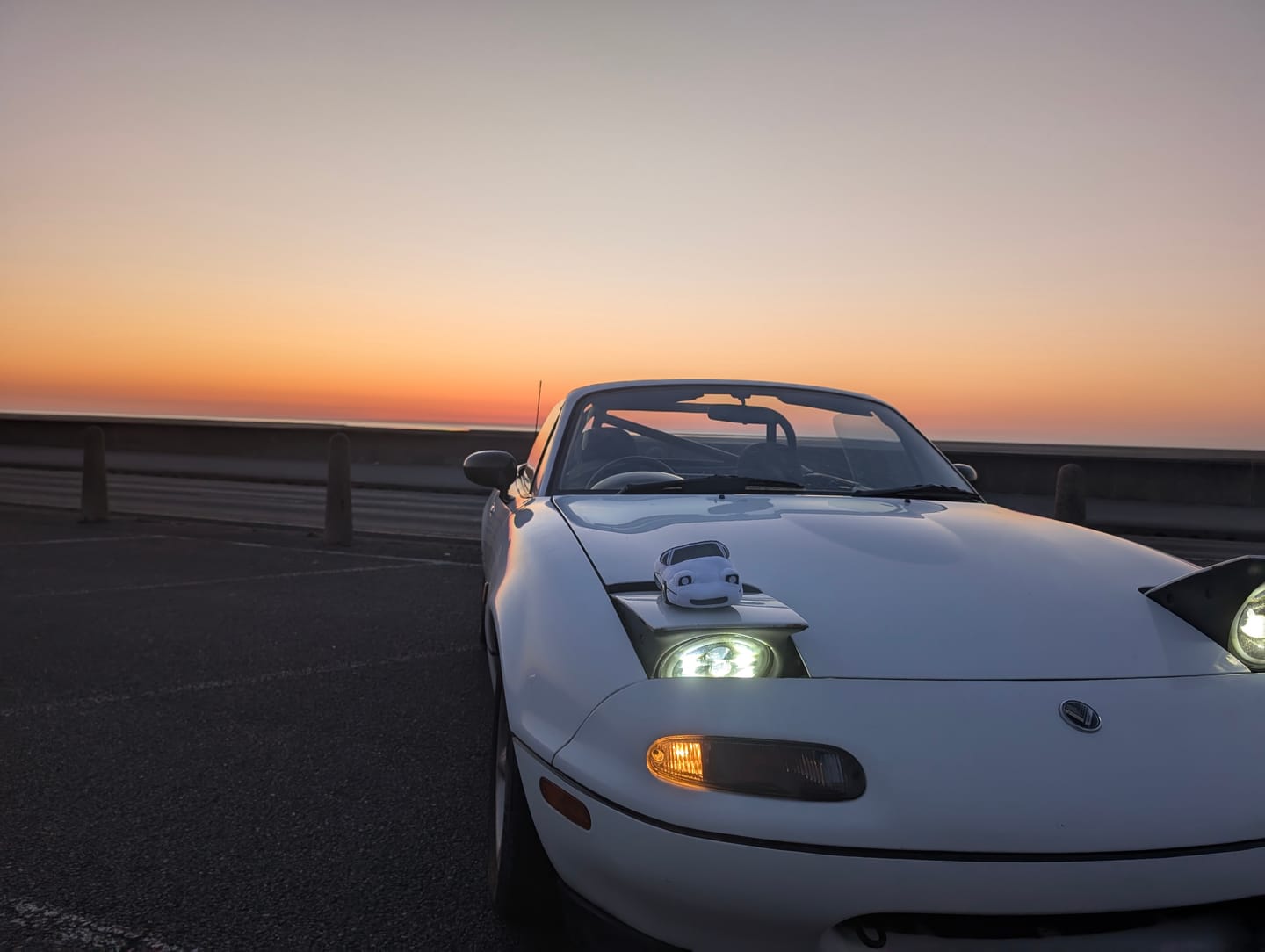 Customer photo review of Miata MX5 Plushie