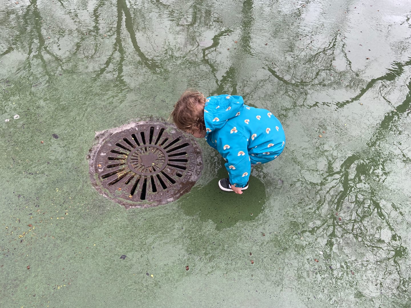 Customer photo review of Rainbow Blue Recycled Waterproof Anorak