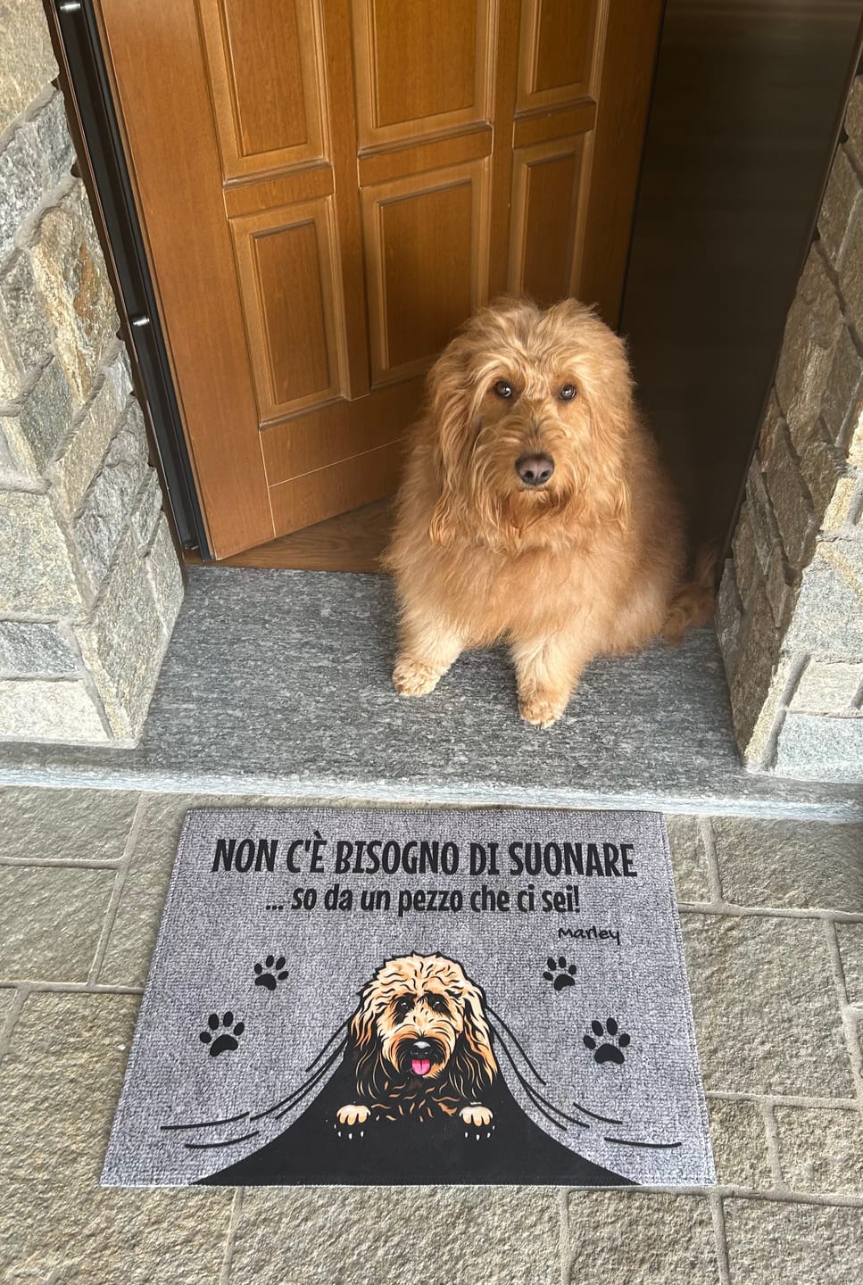 Customer photo review of Non c'è bisogno di suonare - Zerbino personalizzato