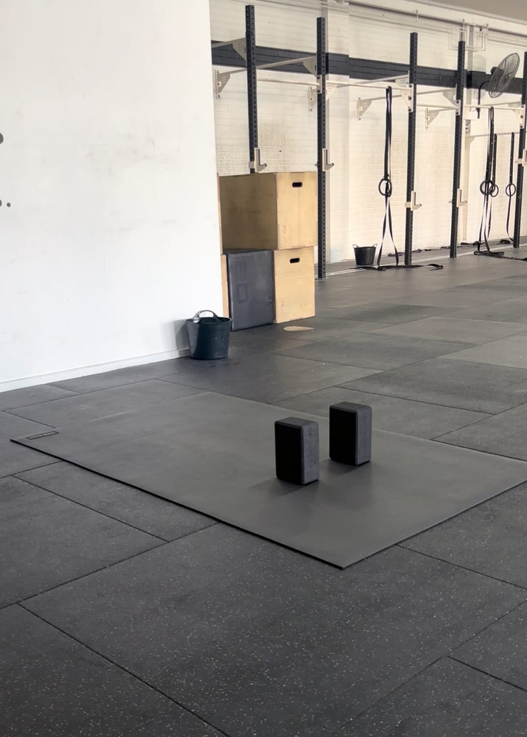 Customer photo review of Miramat® Mega - 214cm x 153cm - Very Large Exercise Mat - In Stock