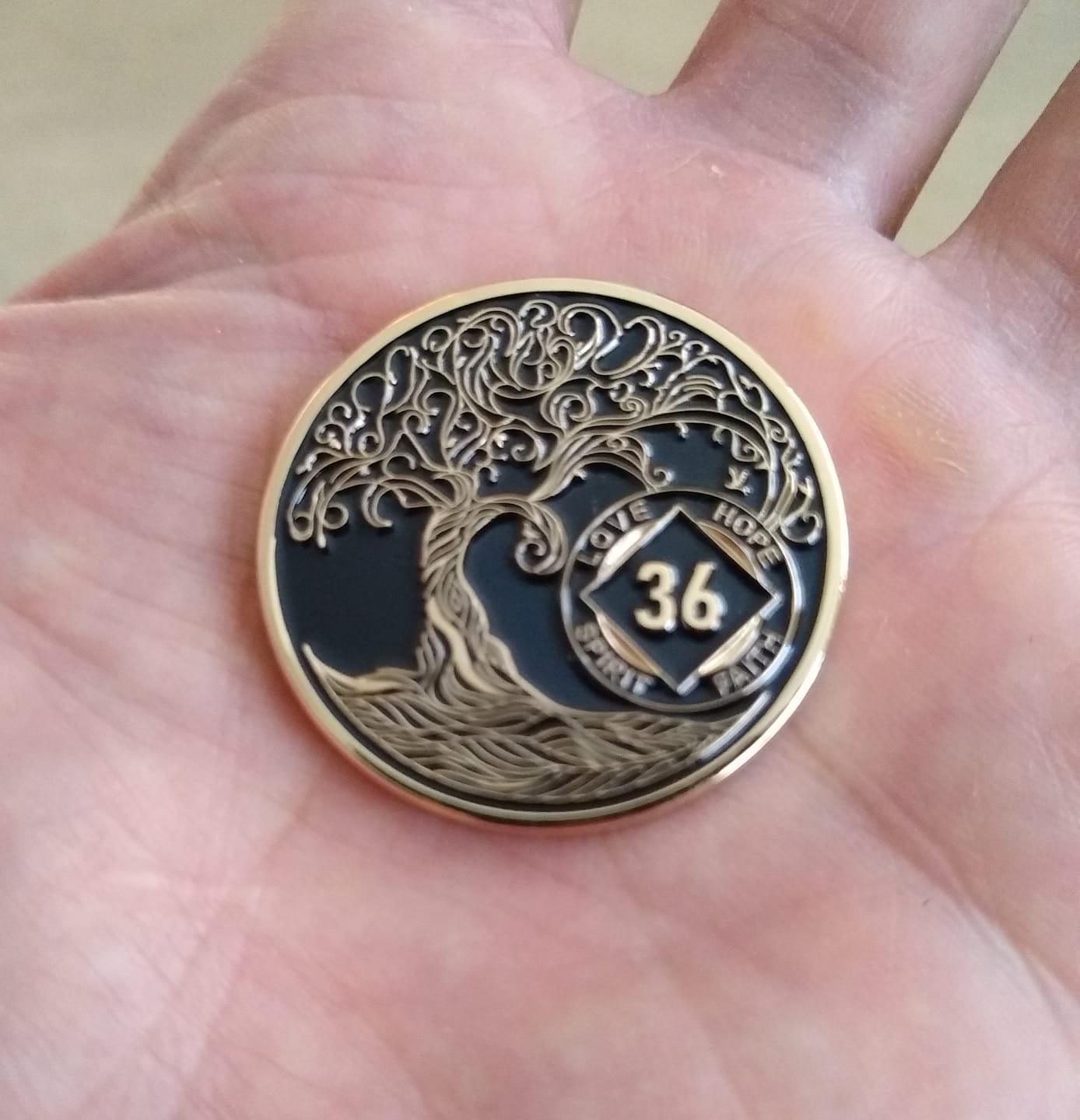 Customer photo review of 1 to 40 Year Sobriety Mint Twisted Tree of Life Gold Plated NA Recovery Medallion/Chip/Coin - Black