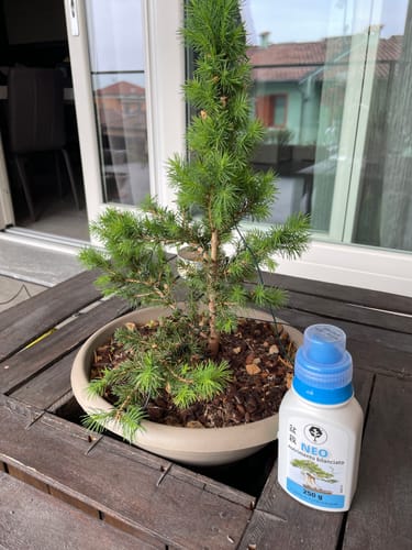 Customer photo review of NEO CB®