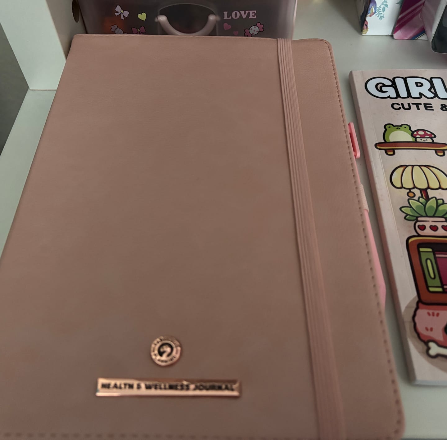 Customer photo review of Health & Wellness - Deluxe Life Journal