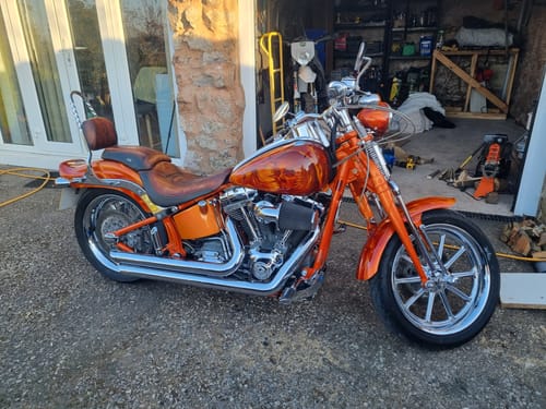 Customer photo review of Liquid - Ceramic Shampoo