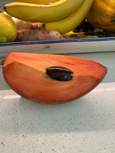 Customer photo review of Tip