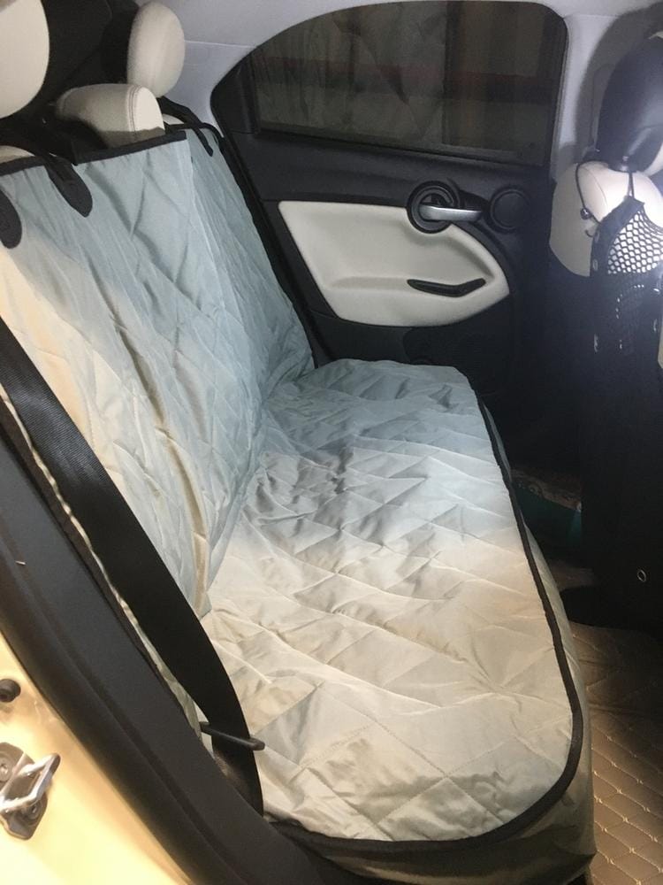 Customer photo review of Dog Rear Seat Cover - No Hammock