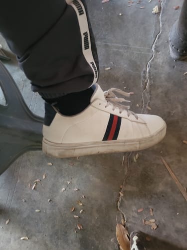 Customer photo review of Theremin Antara